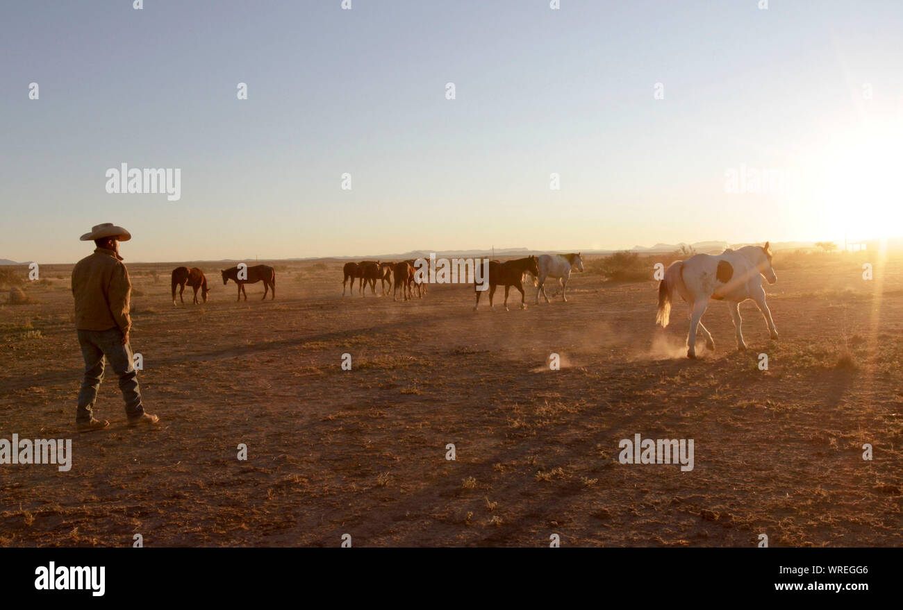 Scenes of ranch life in West TExas Stock Photo