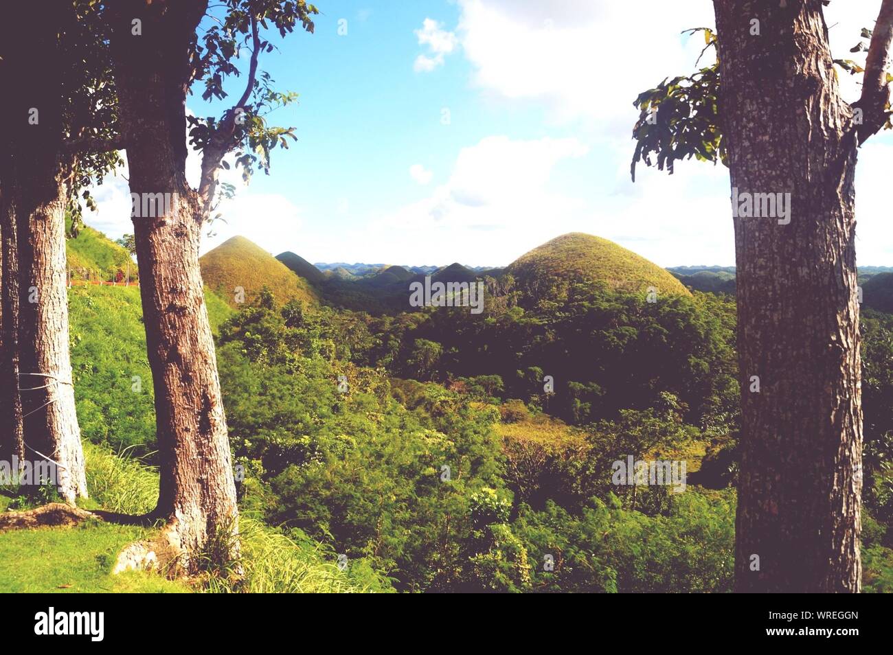 Lush hills hi-res stock photography and images - Alamy