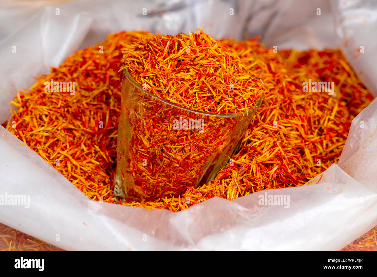 Saffron crocus sativus hires stock photography and images Alamy