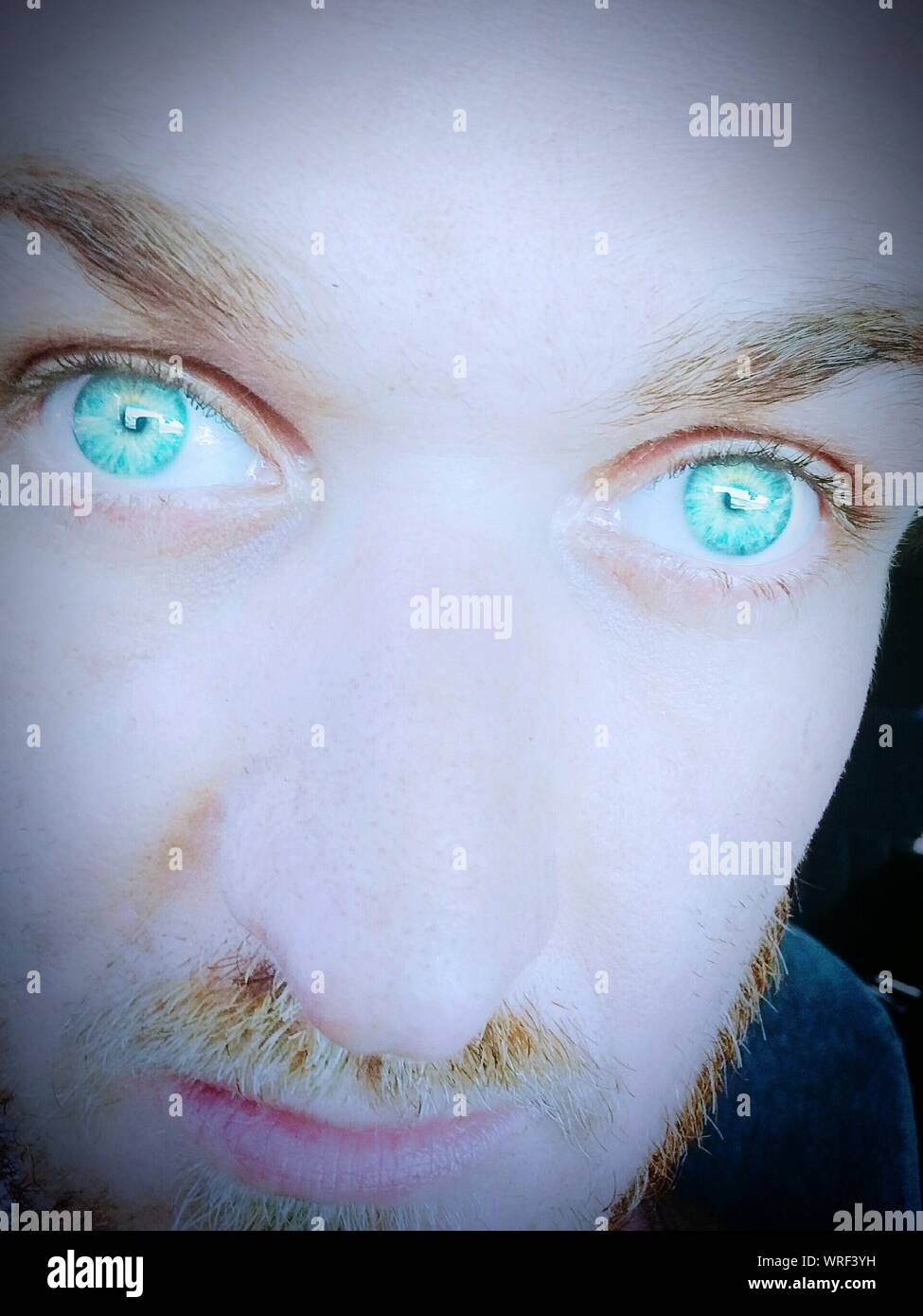 Blue eyes man High Resolution Stock Photography and Images Alamy