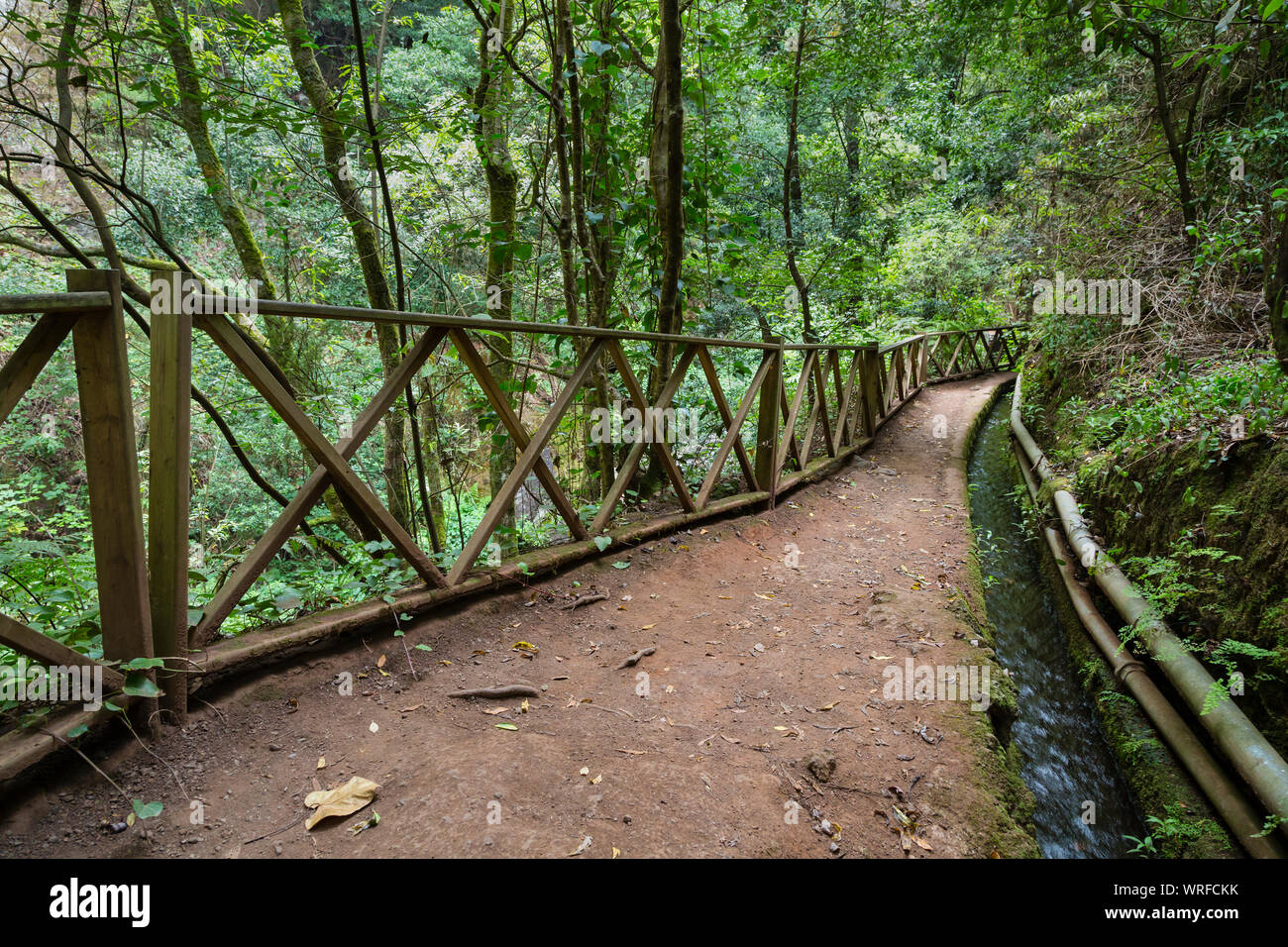 Footpath and canal through the rain forest canyon of Los Tilos in La Palma, Spain. Stock Photo