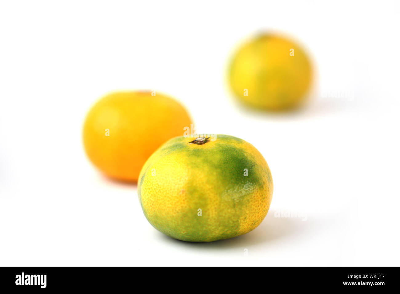 mandarin satsuma orange isolated on white background Stock Photo Alamy