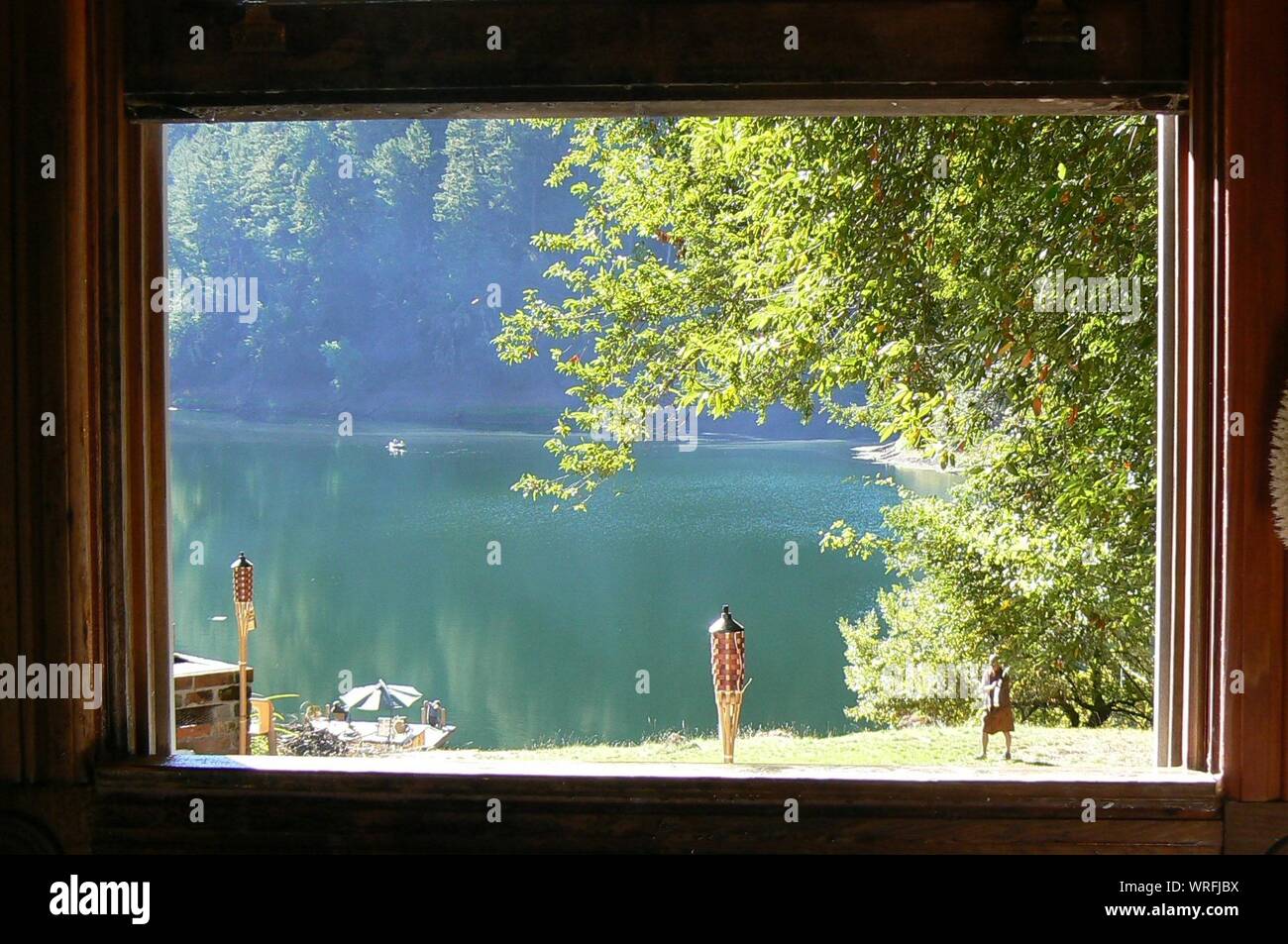 Window In Forest View Through Window Forest High Resolution Stock Photography and Images ...