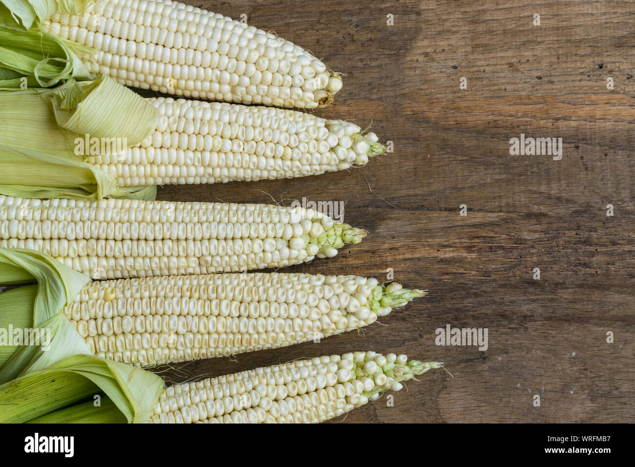 Fresh white corn cobs on old wooden background with place for text. High angle view. Stock Photo