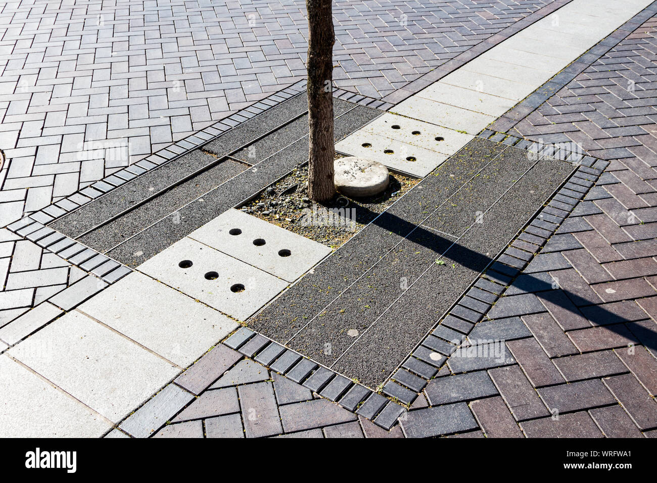 Modern resin bound tree surround in Sopron, Hungary Stock Photo Alamy