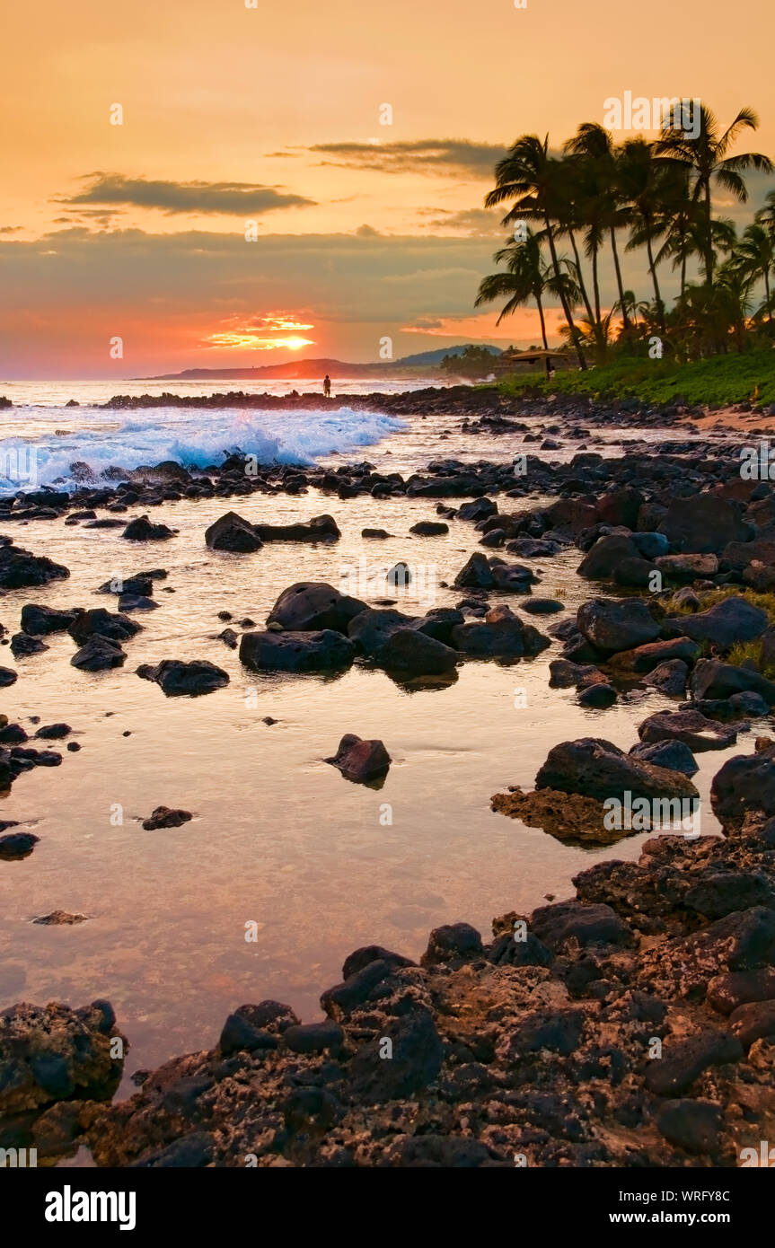 Palm trees silhouetted against a colorful tropical sunset and reflected in the Pacific Ocean on the island of Kauai, Hawaii, USA Stock Photo