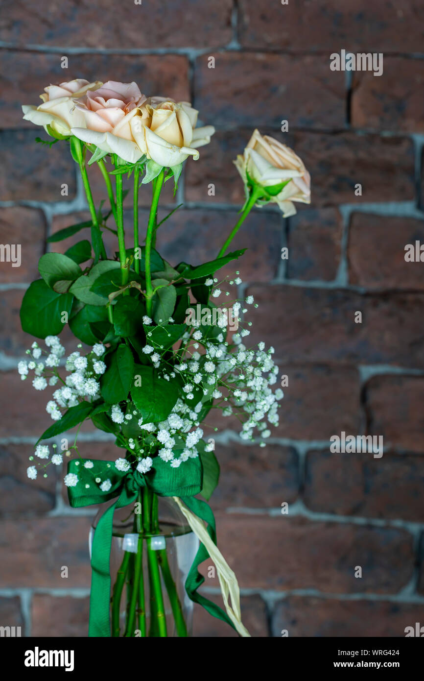 white rose flower , background and romantic concept Stock Photo - Alamy
