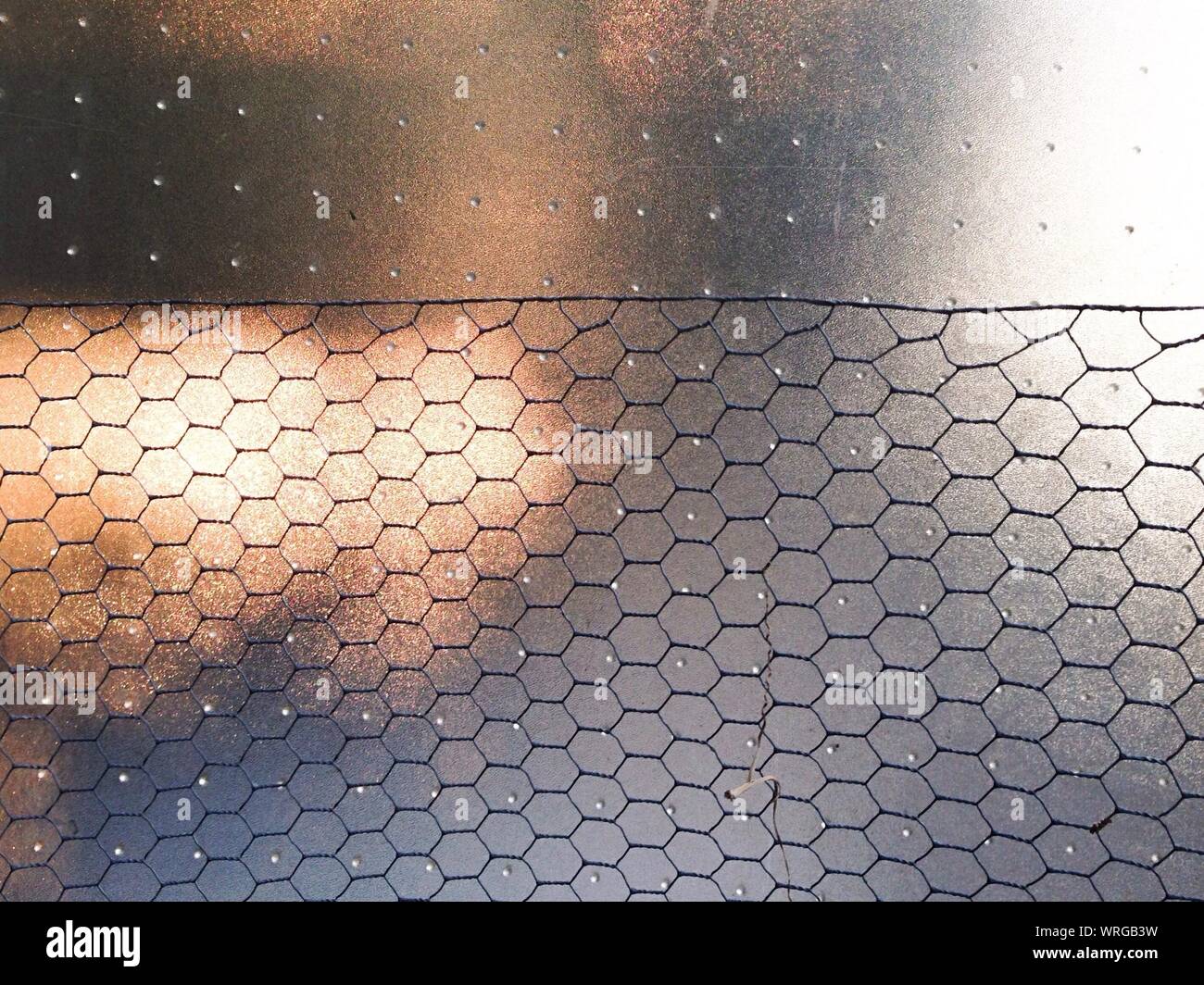 Chicken Wire Against An Opaque Background Stock Photo