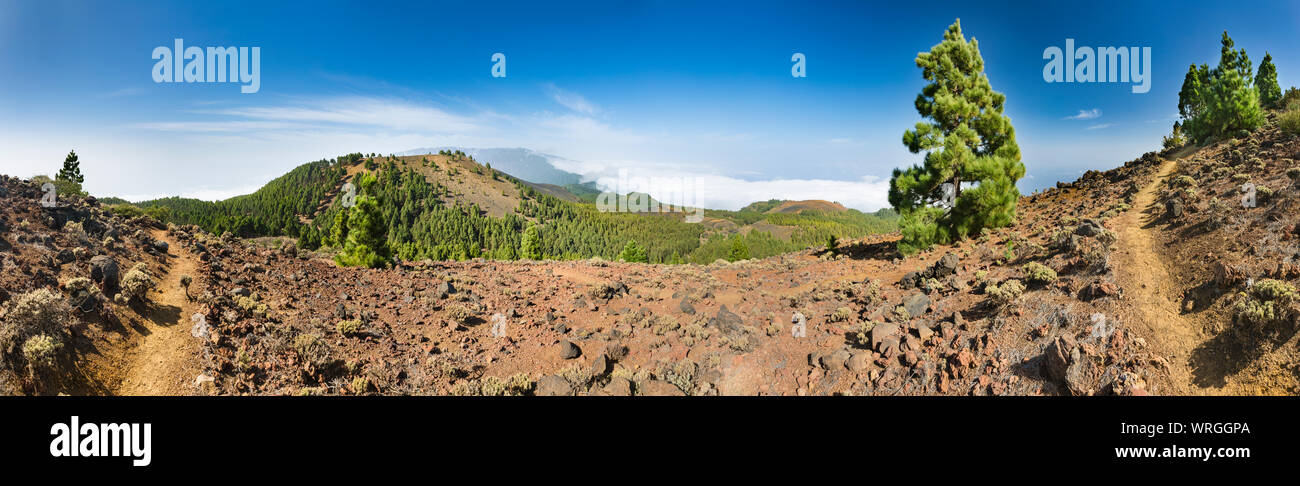 Panorama of colorful trees and red lava landscape above the clouds along the Ruta de los Volcanes trail in La Palma, Spain. Stock Photo