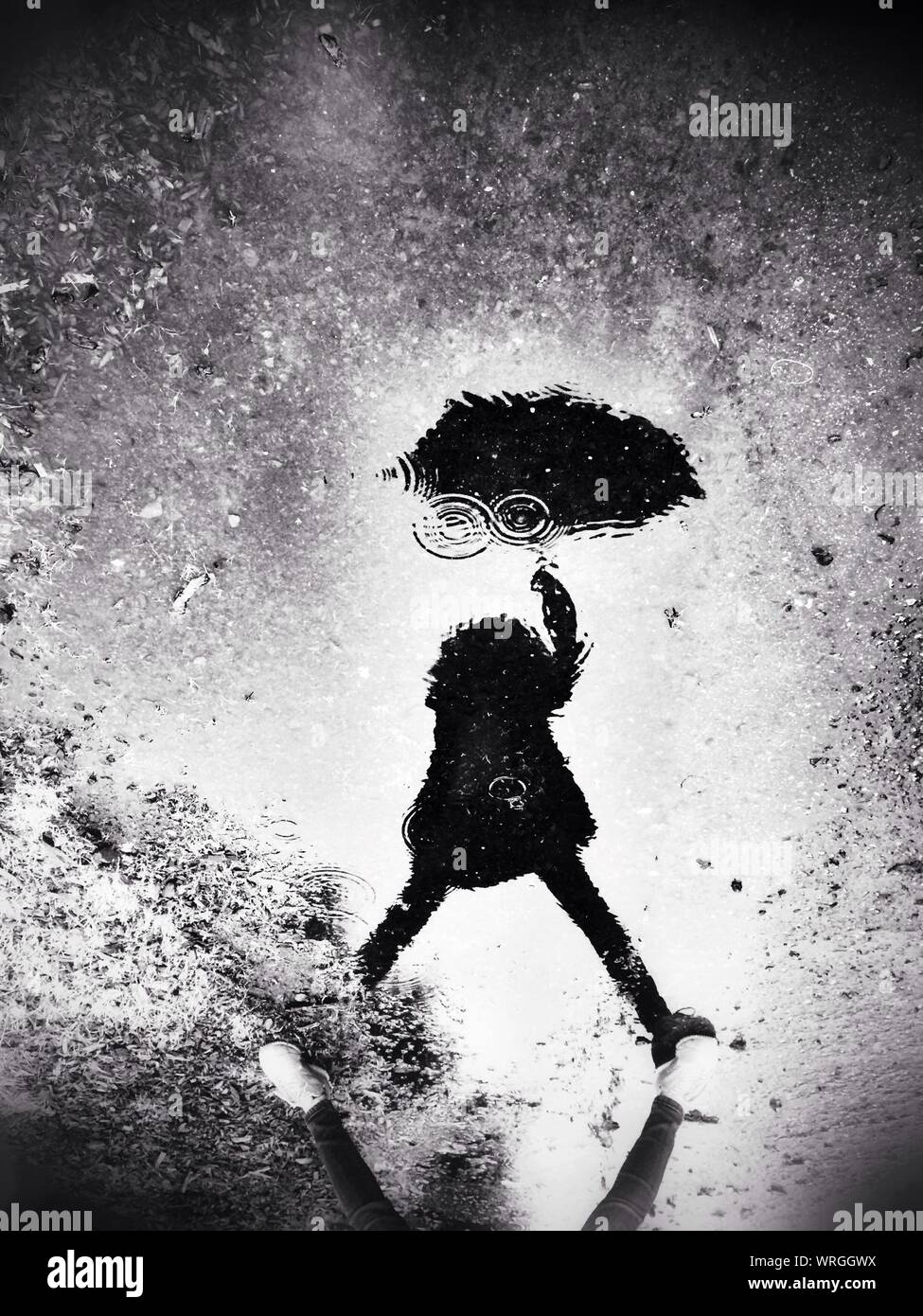 Shadow Of Girl With Umbrella In Puddle Stock Photo Alamy