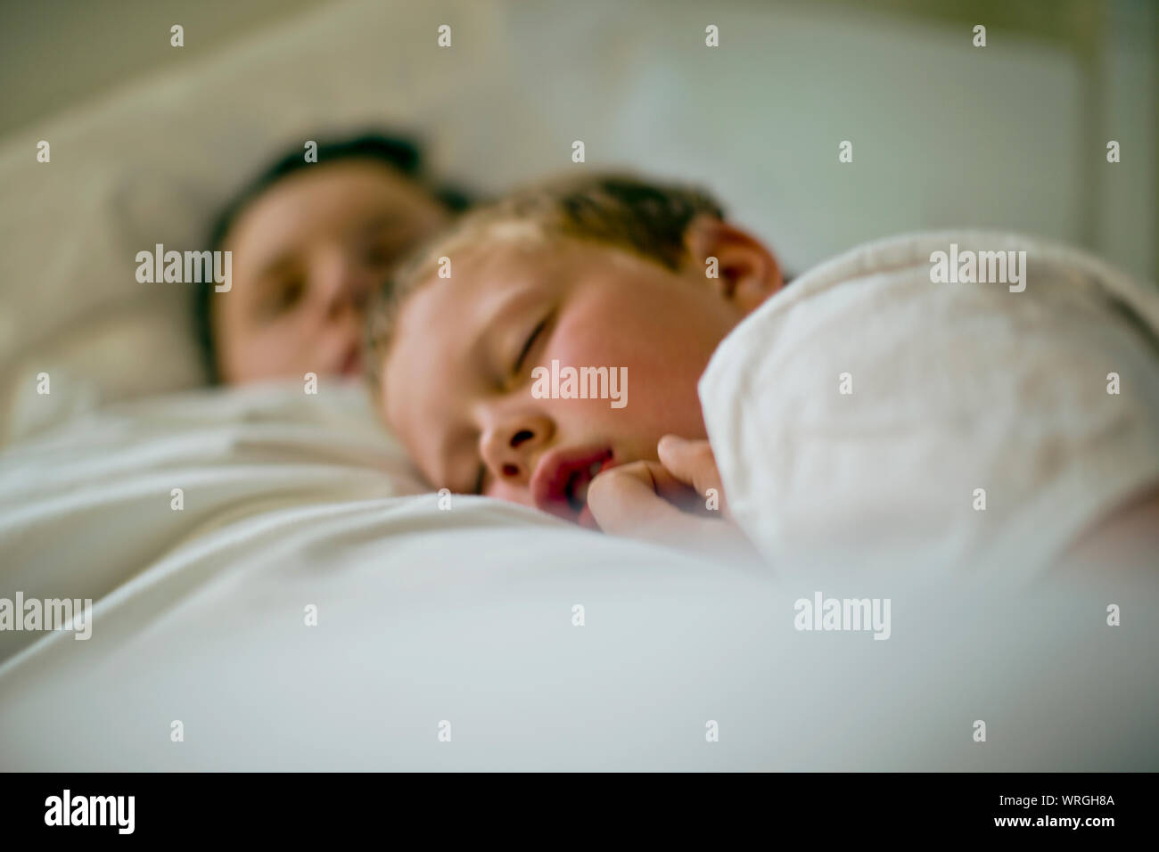 Two brothers napping together. Stock Photo