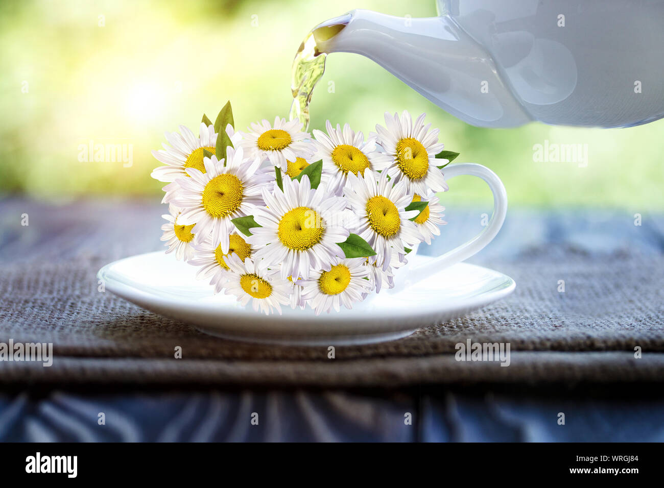 Herbal tea with chamomile Stock Photo Alamy
