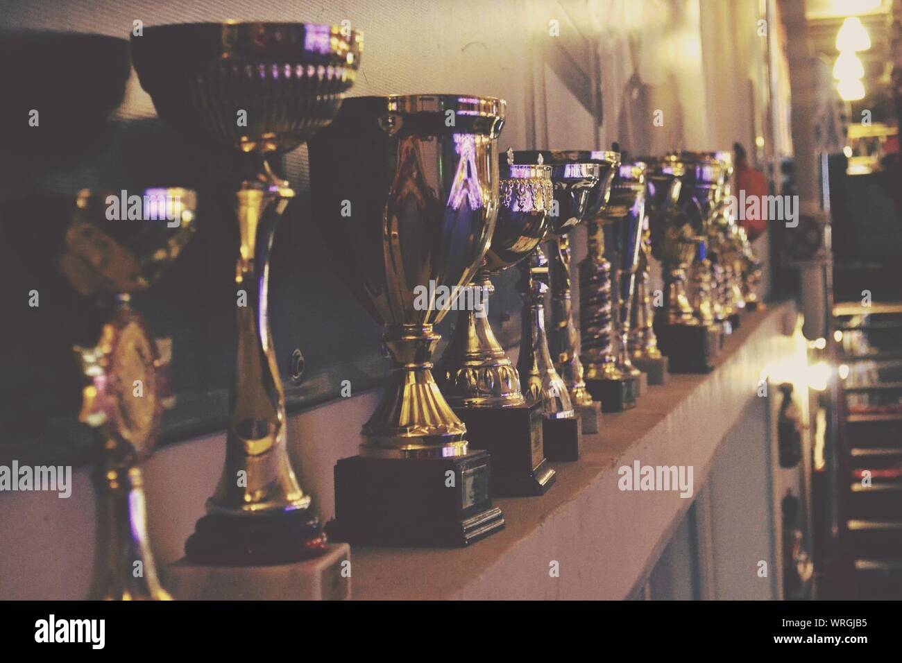 6 12 tall trophy School theme trophy