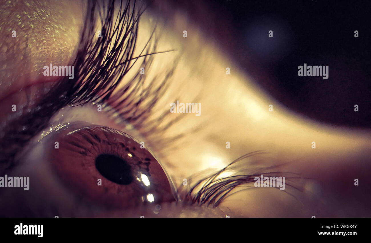 Closeup Of Human Eye Stock Photo Alamy