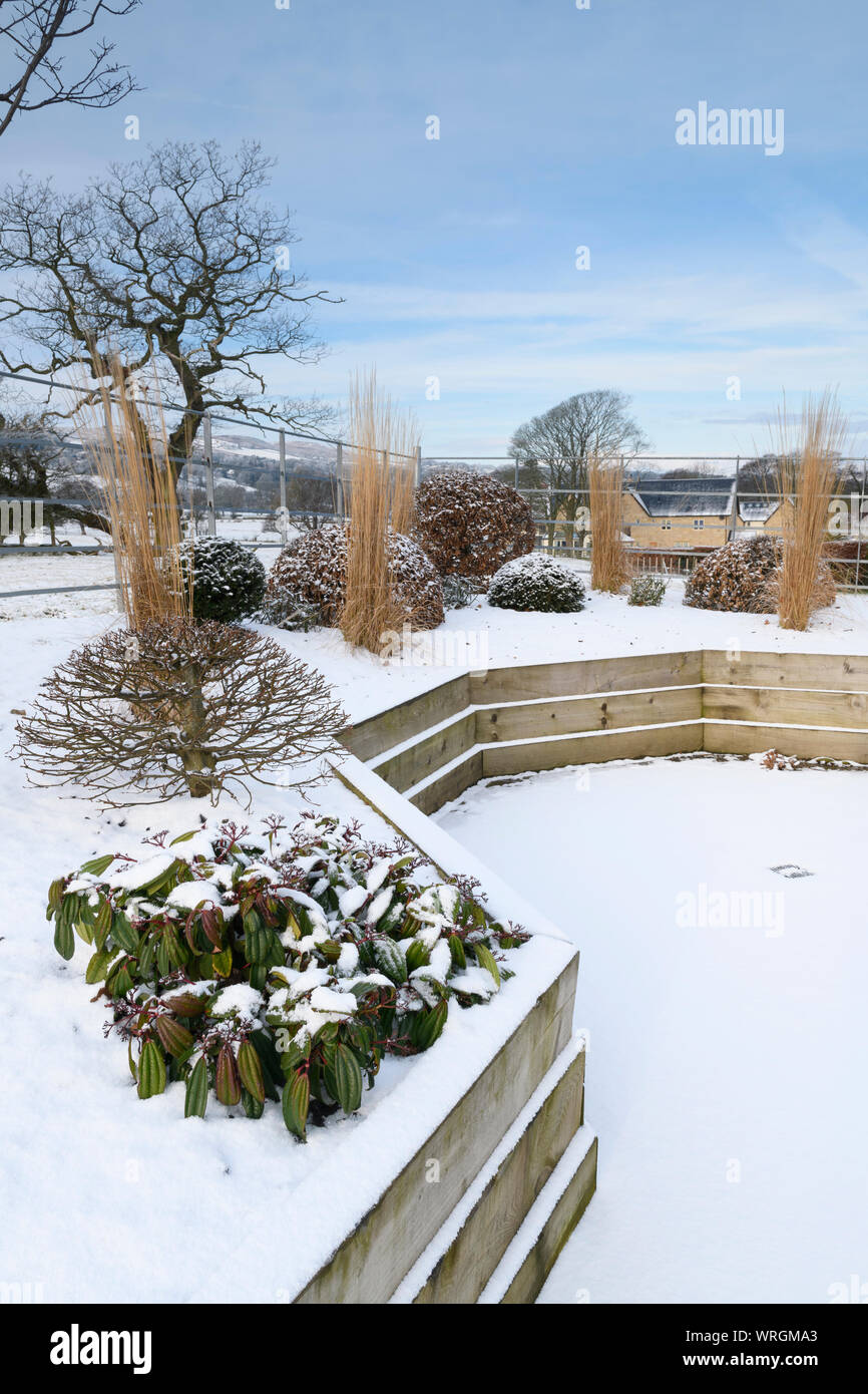 Stylish, contemporary design, landscaping & planting on wooden raised