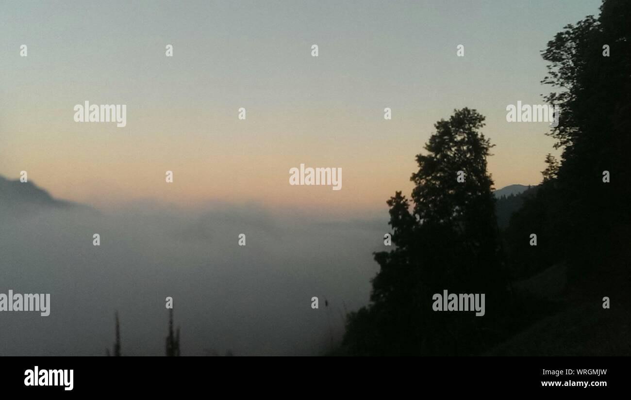 Fog trees silhouette hi-res stock photography and images - Alamy