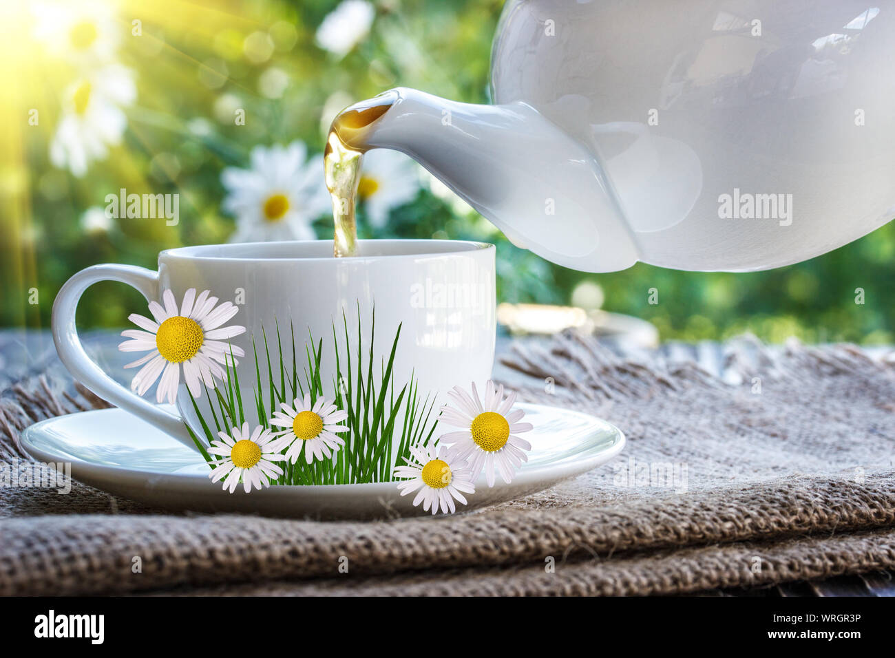 View of Herbal tea with chamomile and green grass Stock Photo - Alamy