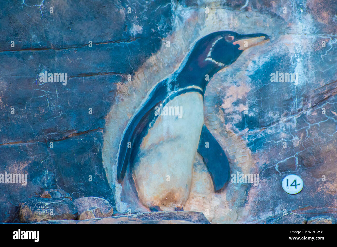 Orlando, Florida. August 31, 2019. Images of penguins on rocks at