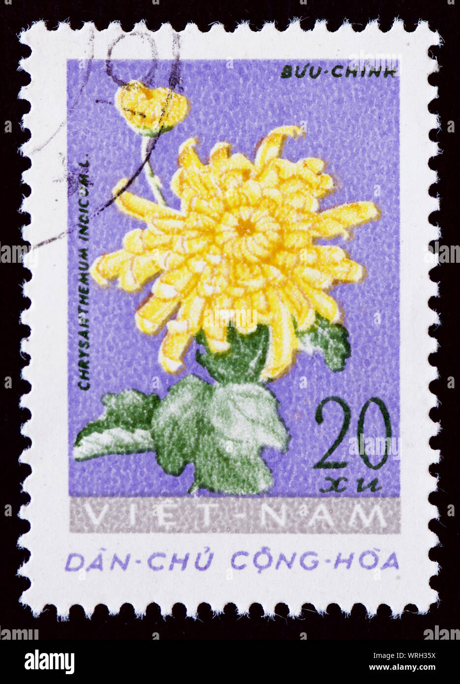 Vietnam Postage Stamp - Spring and Summer Flowers Stock Photo - Alamy