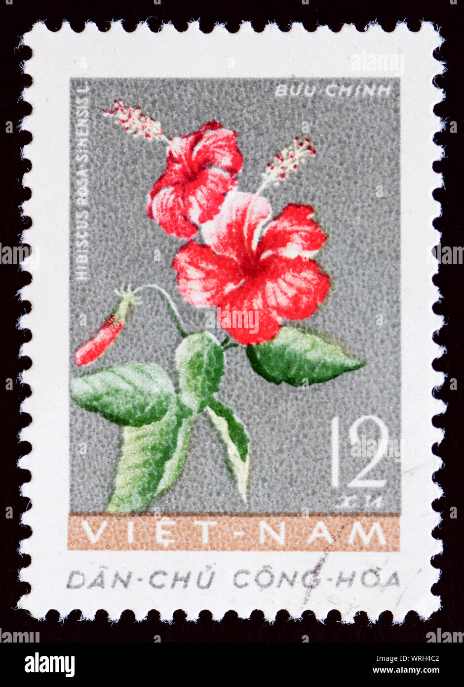 Vietnam Postage Stamp - Spring and Summer Flowers Stock Photo - Alamy