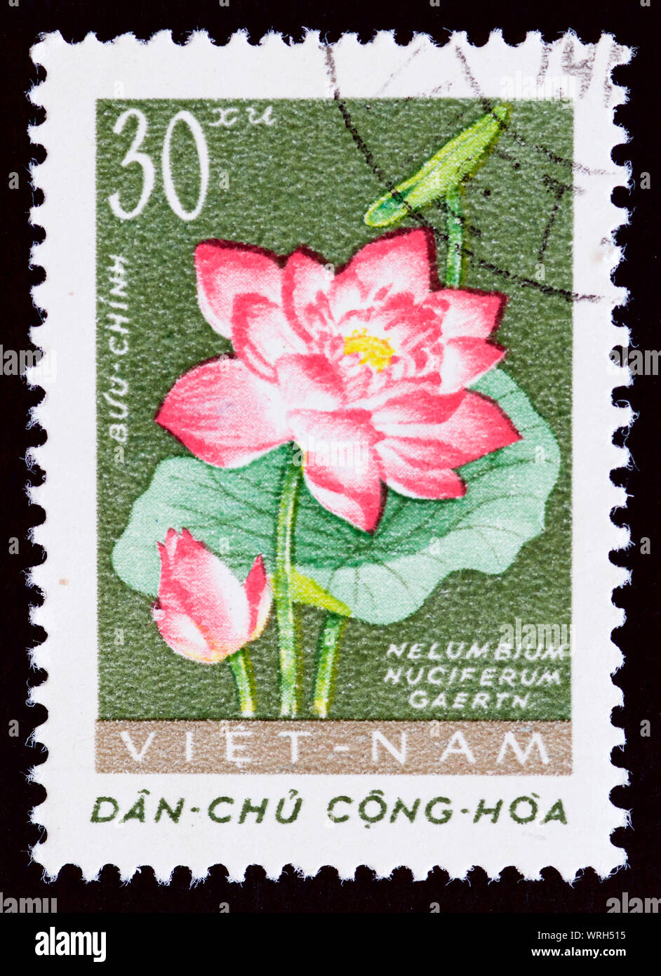 Vietnam postage stamp hi-res stock photography and images - Alamy