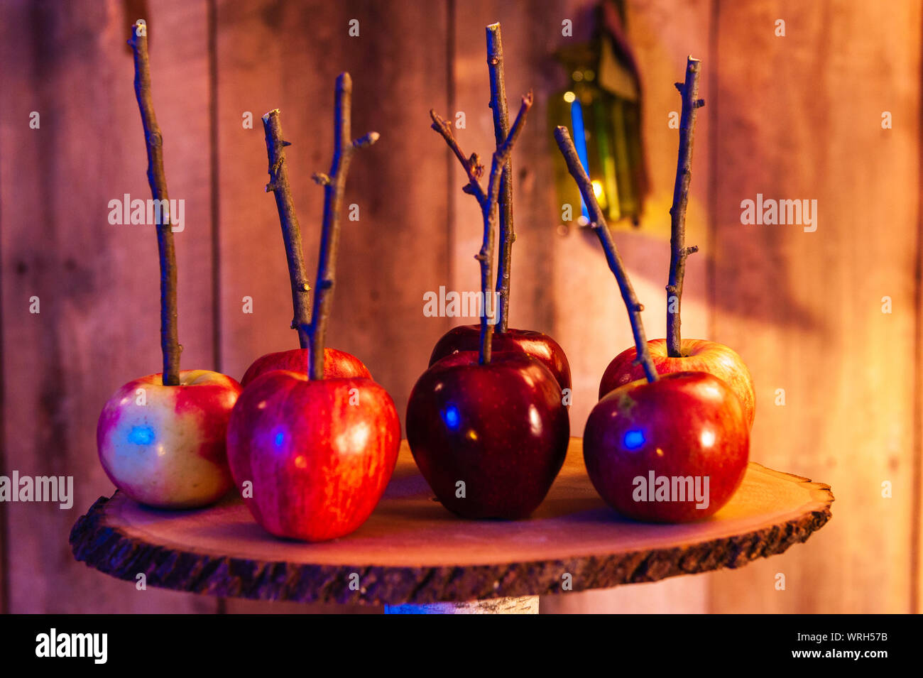 Candy apples ready for dipping Stock Photo Alamy