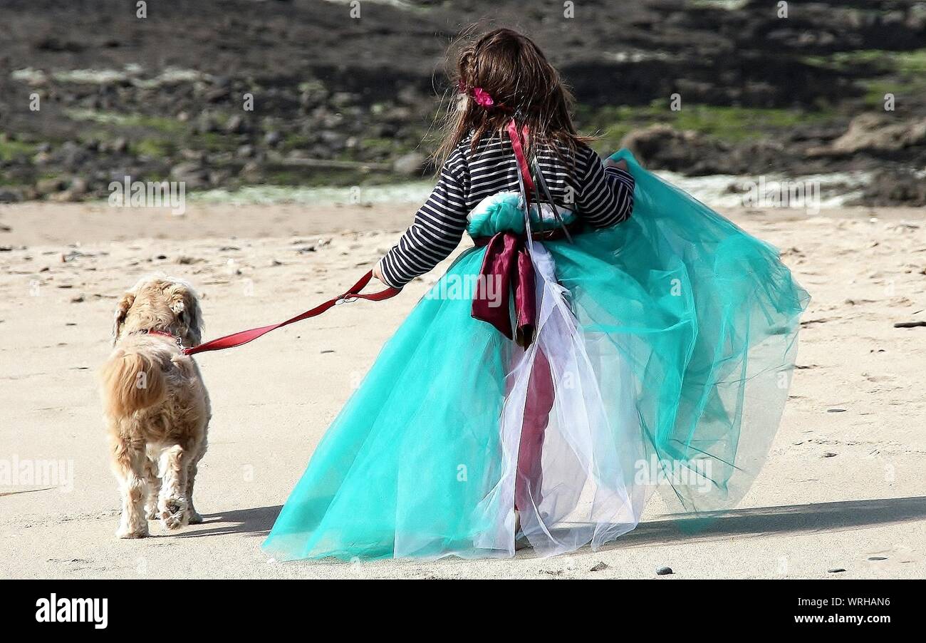 Rear View Of Girl Wearing Long Dress Walking With Dog At Beach Stock Photo
