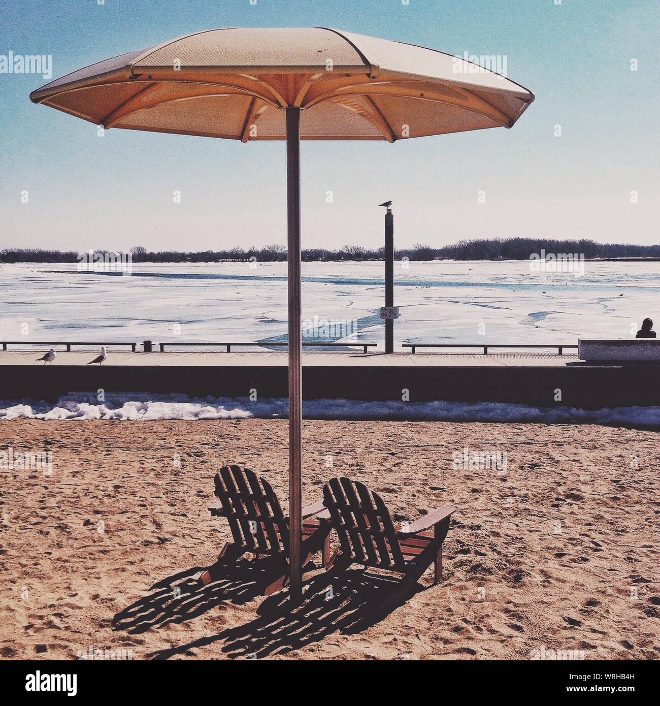 Two Adirondack Chair Under Beach Umbrella Stock Photo Alamy