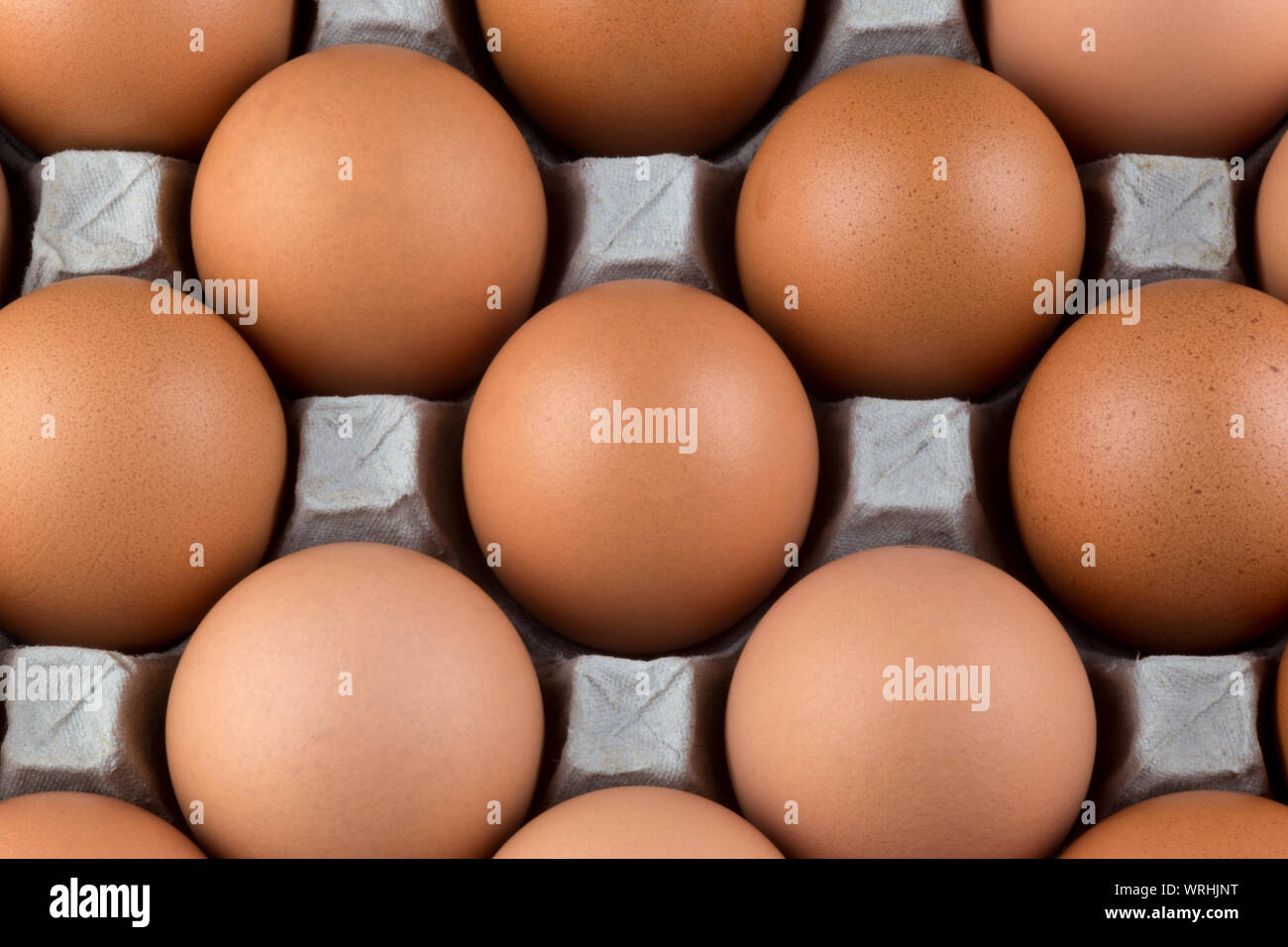 Fresh hens eggs from supermarket still in cardboard egg tray Stock Photo