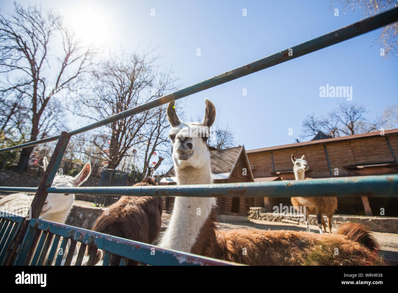 Animal friendly zoo hi-res stock photography and images - Alamy