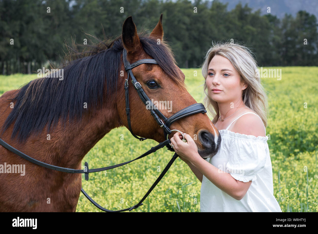 Woman standing next to her chestnut Arab horse outdoors with field of yellow flowers, looking away. Stock Photo