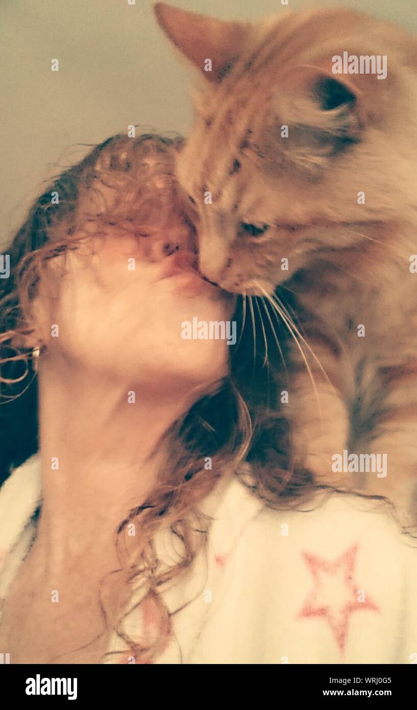 Woman kissing cat hi-res stock photography and images - Alamy