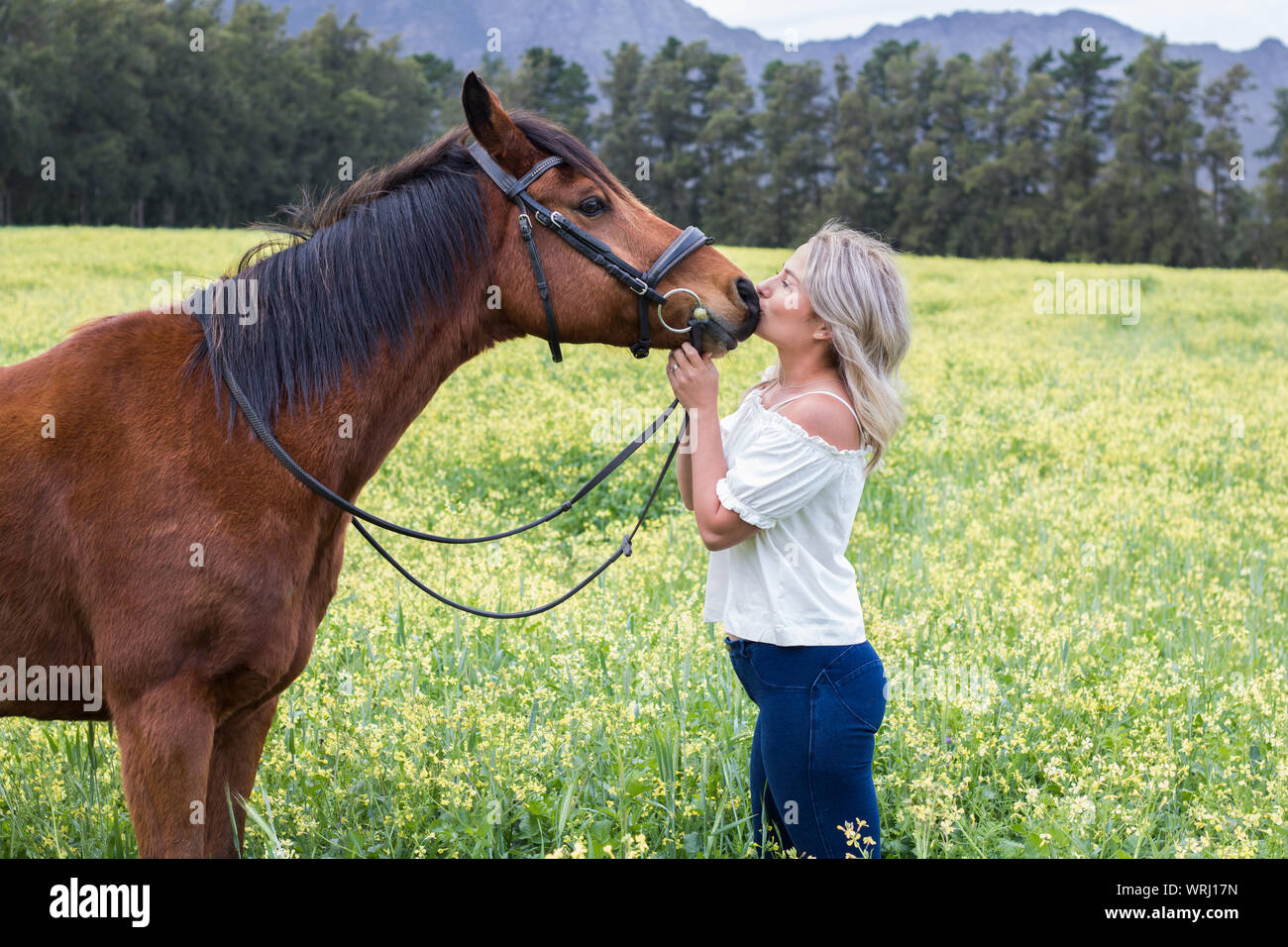 Woman kissing her chestnut Arab horse  on his nose, standing facing each other, outdoors with field of yellow flowers. Stock Photo