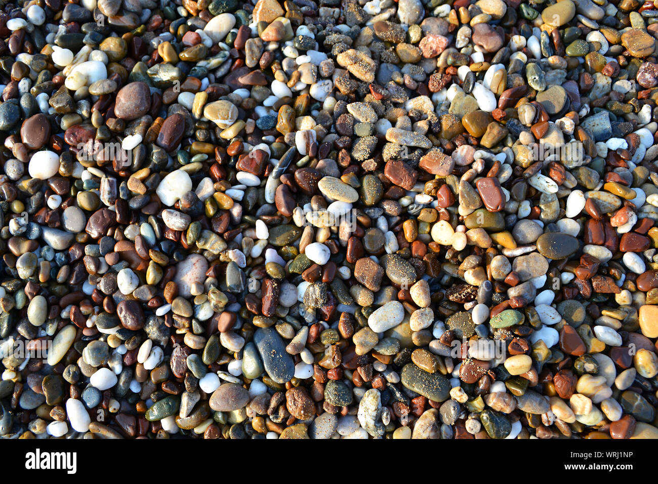 Top-view of many wet and sandy sea stones of different colour, form and size at the beach Stock Photo