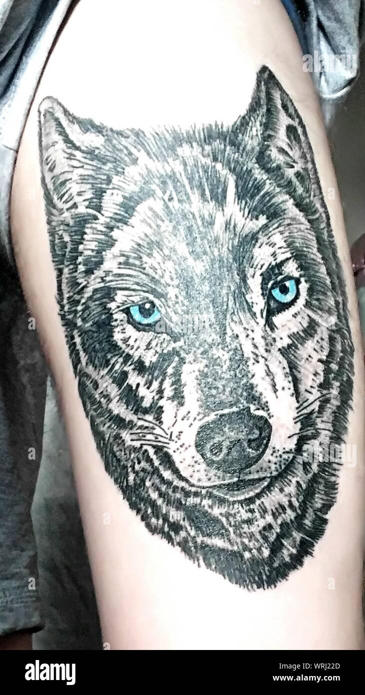 Wolf Tattoos  neartattoos