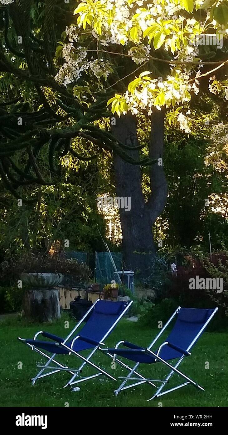 Chairs on grass hires stock photography and images Alamy