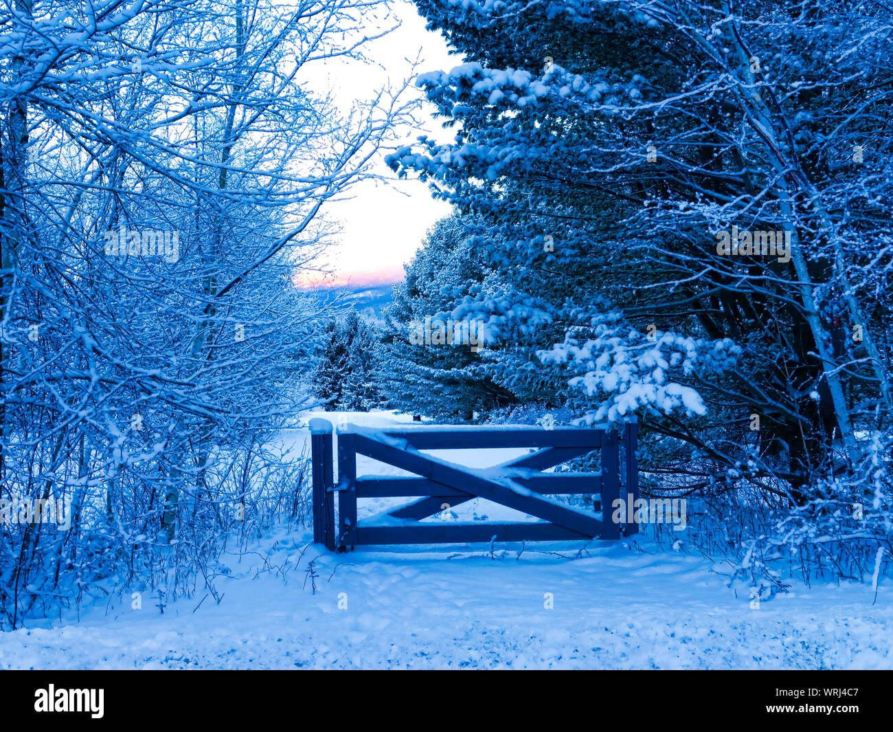 White split rail fence hi-res stock photography and images - Alamy