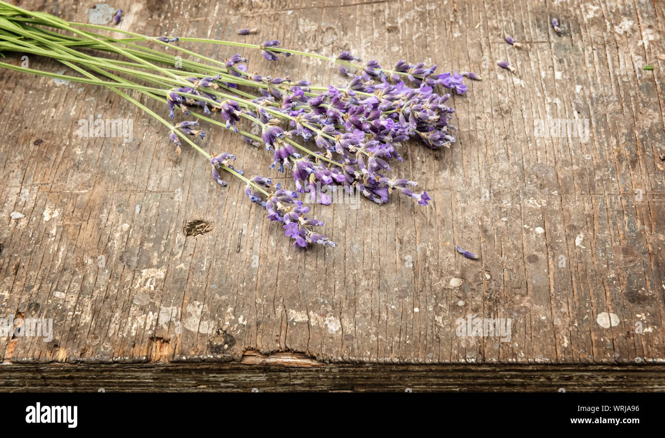 Small bouquet of freshly cut lavender flowers  on old rough textured natural wooden surface.  Selective focus. Horizontal greeting card background in Stock Photo