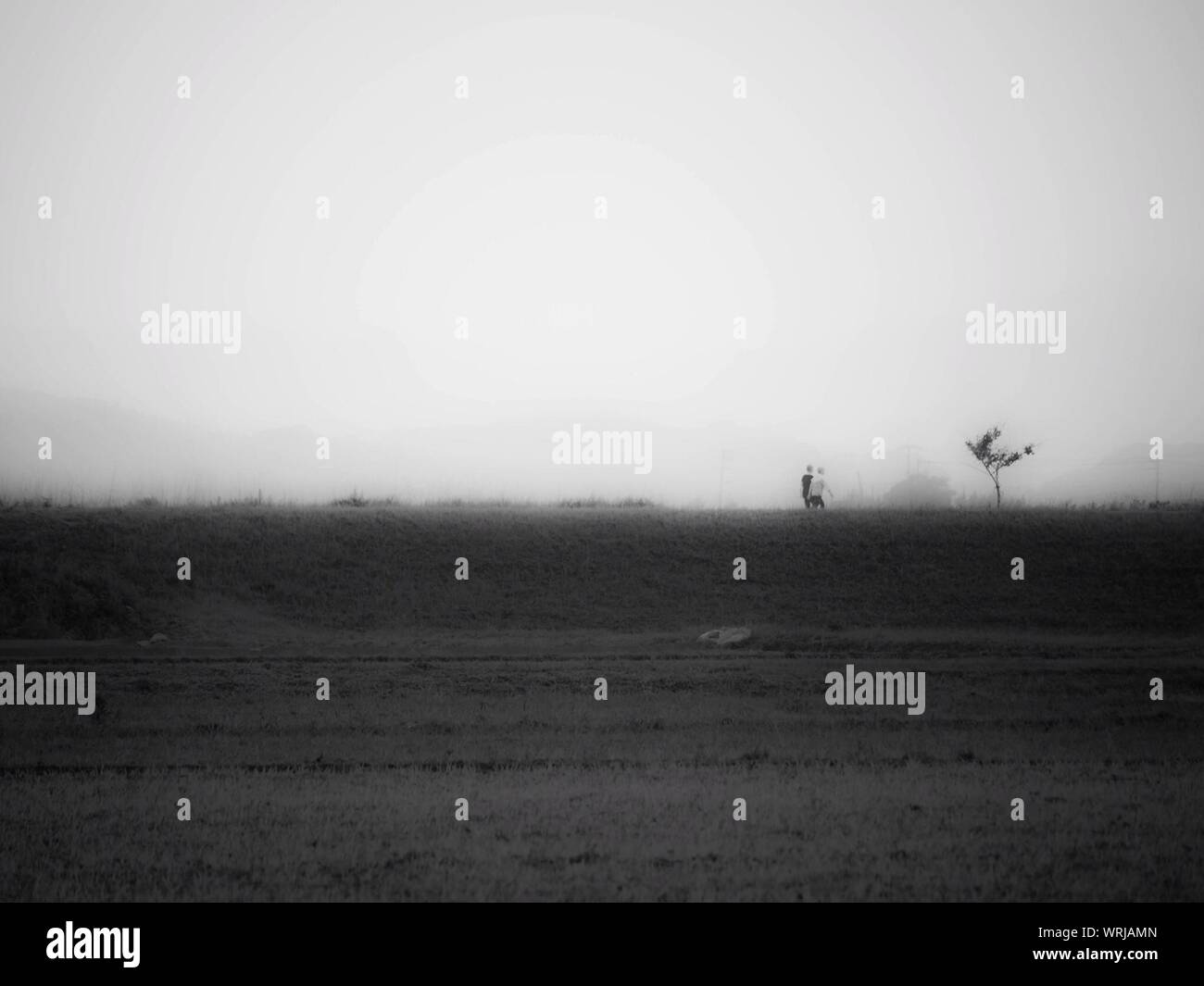 Fog over the fields hi-res stock photography and images - Alamy