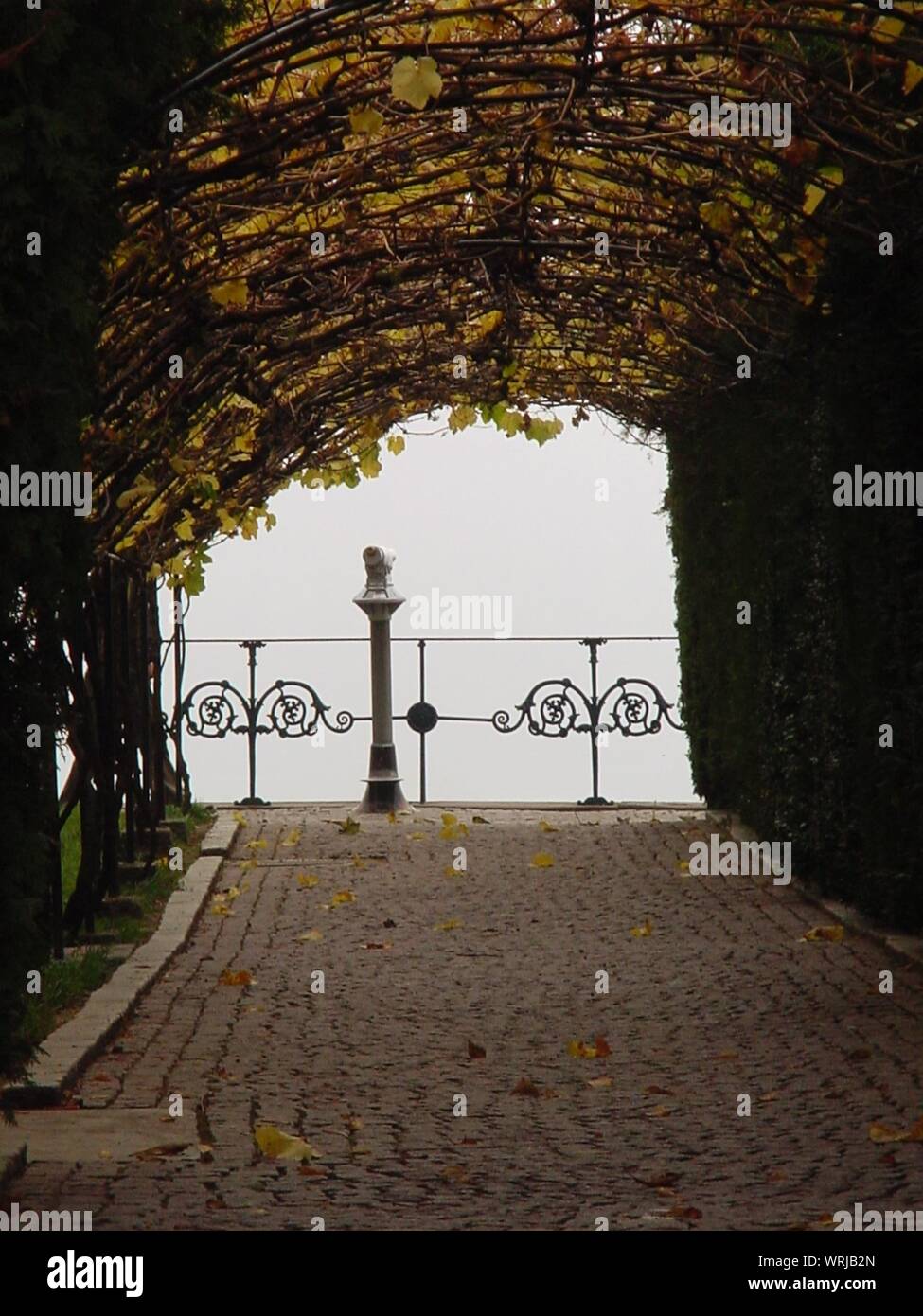Plant Covered Walkway In Park Stock Photo Alamy