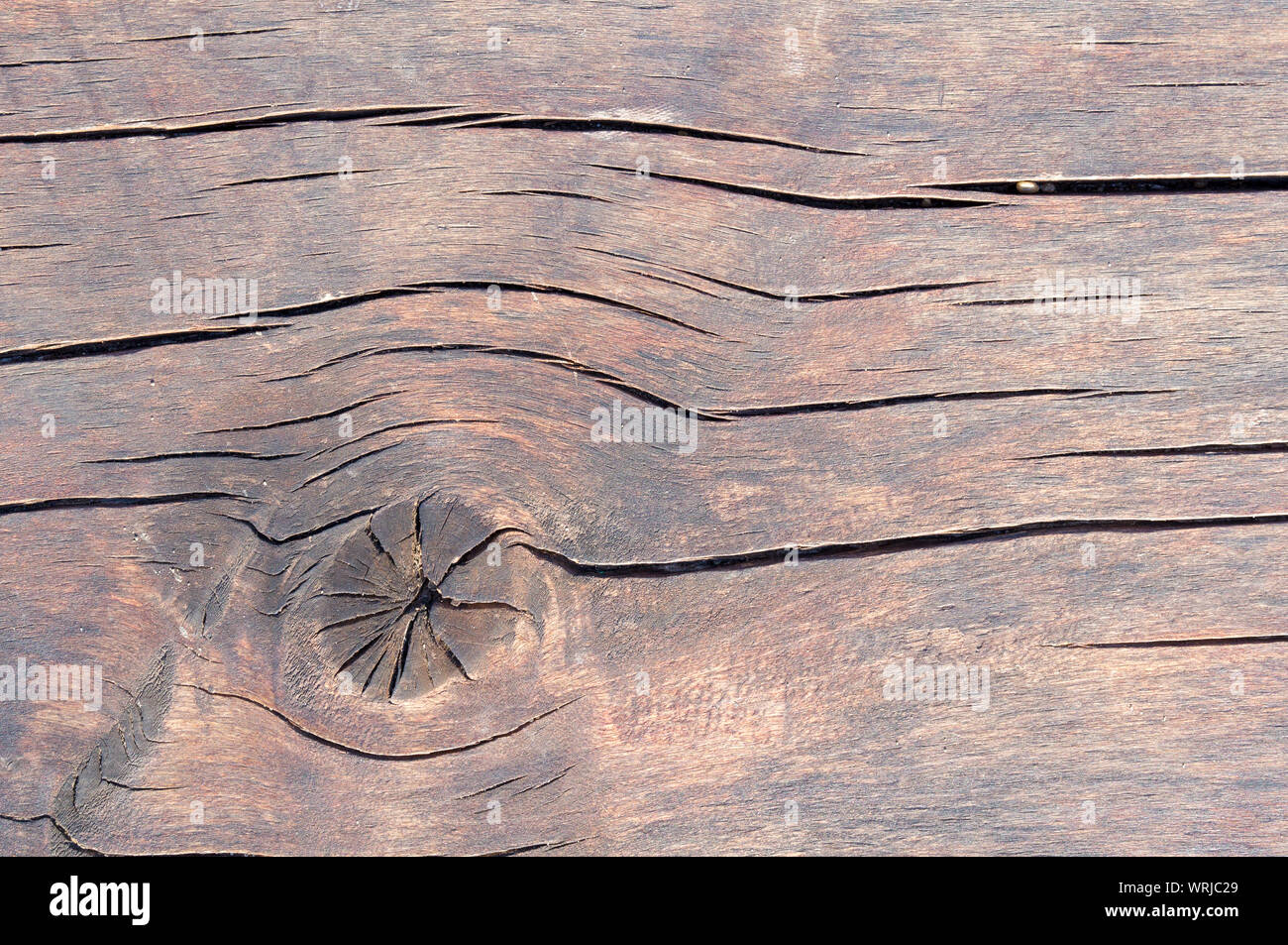 Mold Wall Stock Photos Mold Wall Stock Images Page 8 Alamy