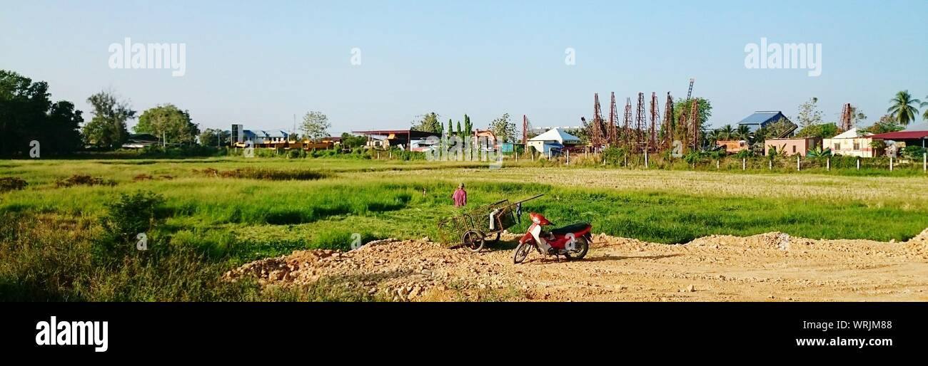 Farmer Harvests Rice With Village In Background Stock Photo