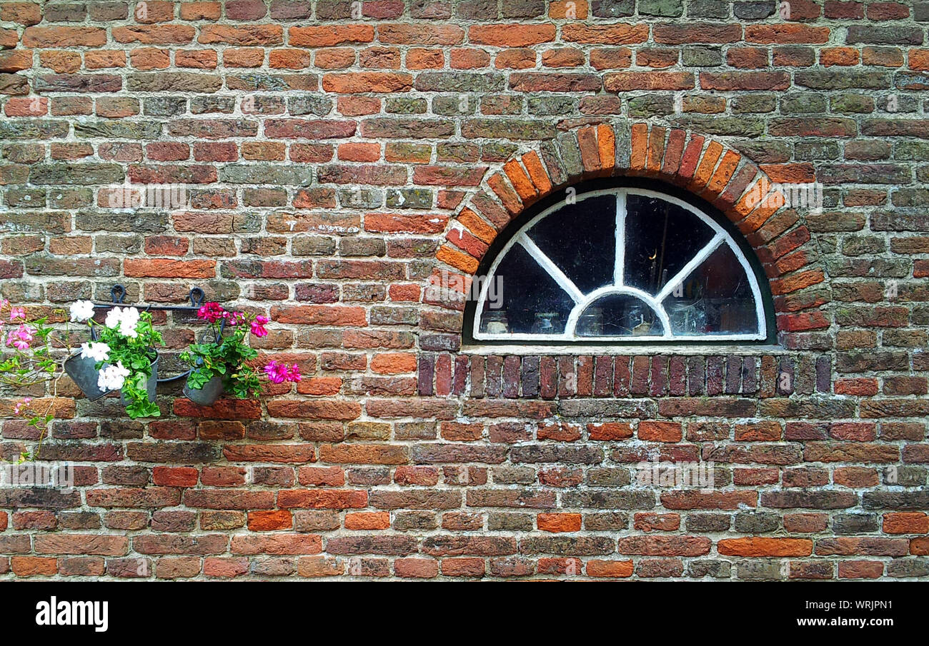 Flowers On Brick Wall Stock Photo Alamy