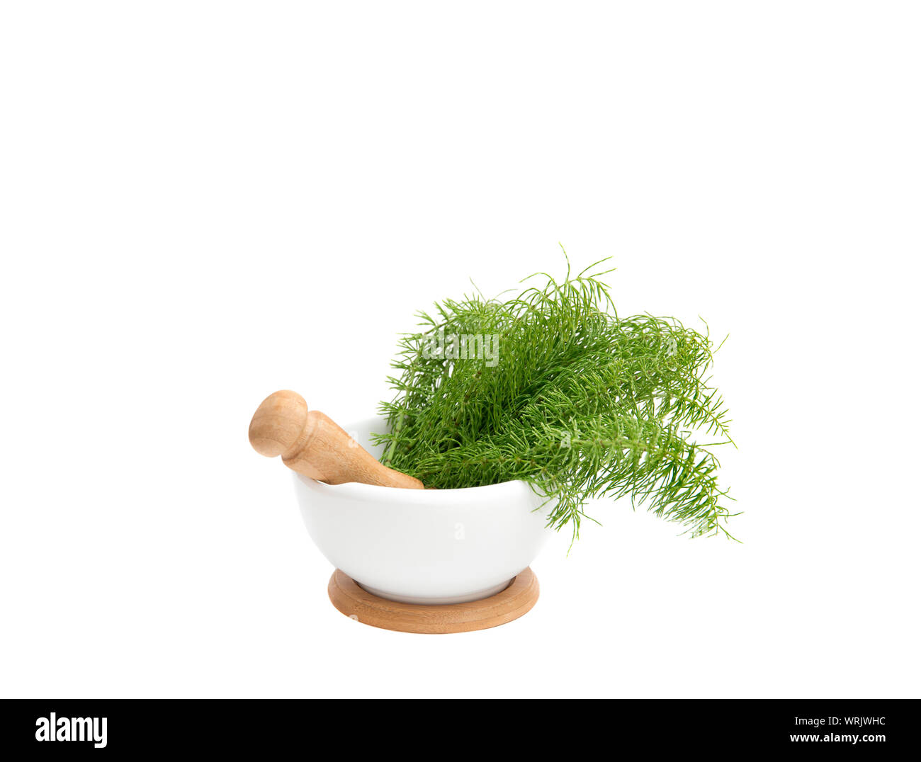 Bunch of herbal plant Equisetum arvense the field horsetail or common horsetail in white mortar and tea infusion next to it, yellow background with co Stock Photo