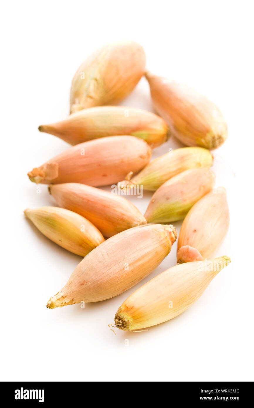 The golden shallot onion isolated on white background. Fresh bulbs