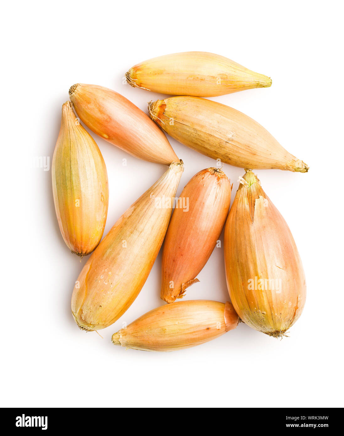 The golden shallot onion isolated on white background. Fresh bulbs