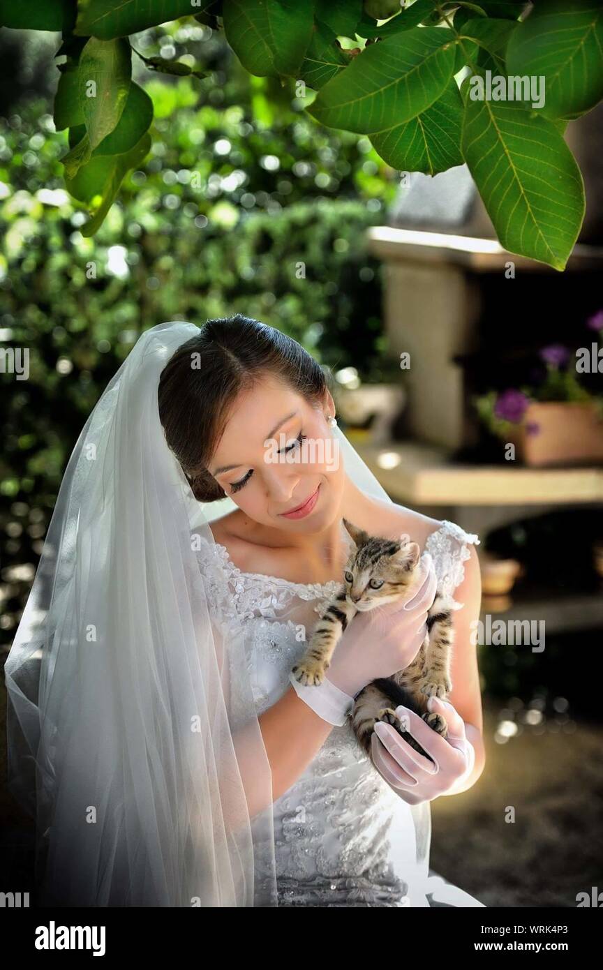 Bride In Wedding Dress Holding Cat While Sitting At Yard Stock