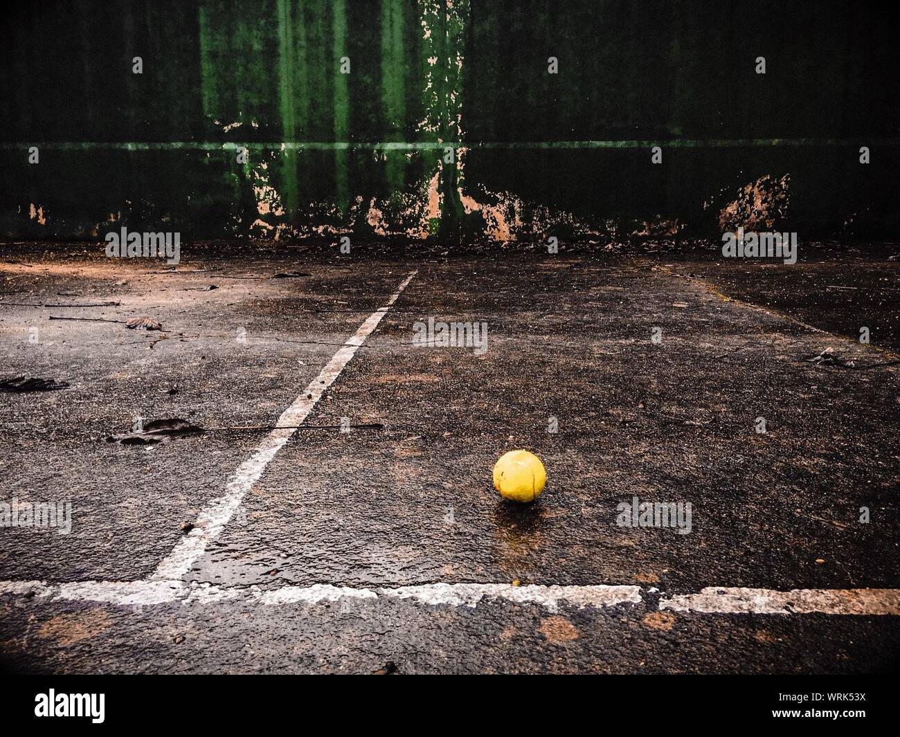 Tennis feature hires stock photography and images Alamy