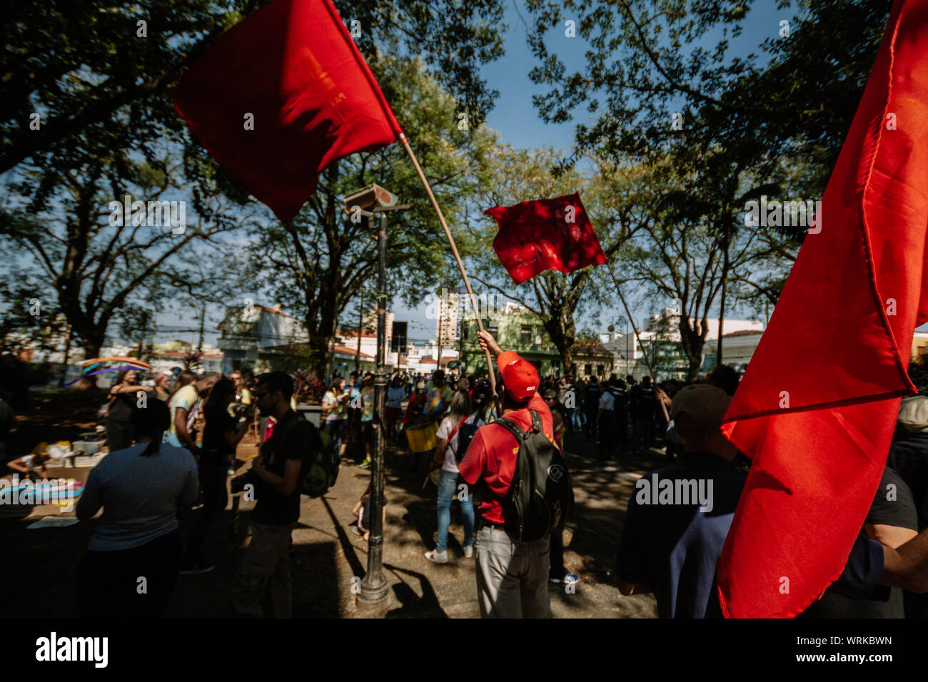 Crowd in the streets marching for amazonia and less pesticides in a pro environment protest during the brazilian independence day Stock Photo