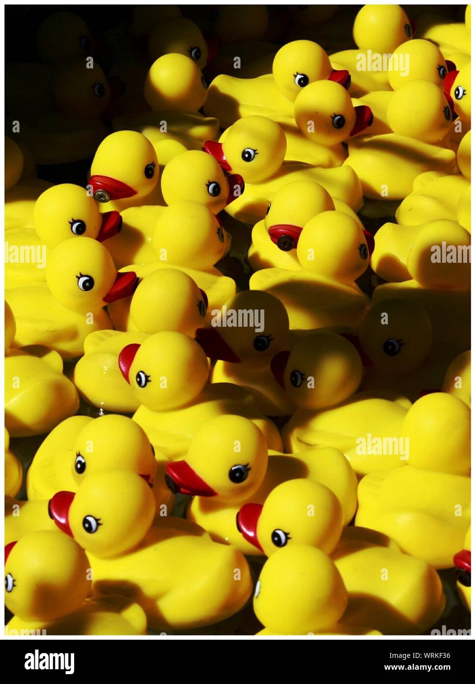 Yellow Rubber Ducks Stock Photo